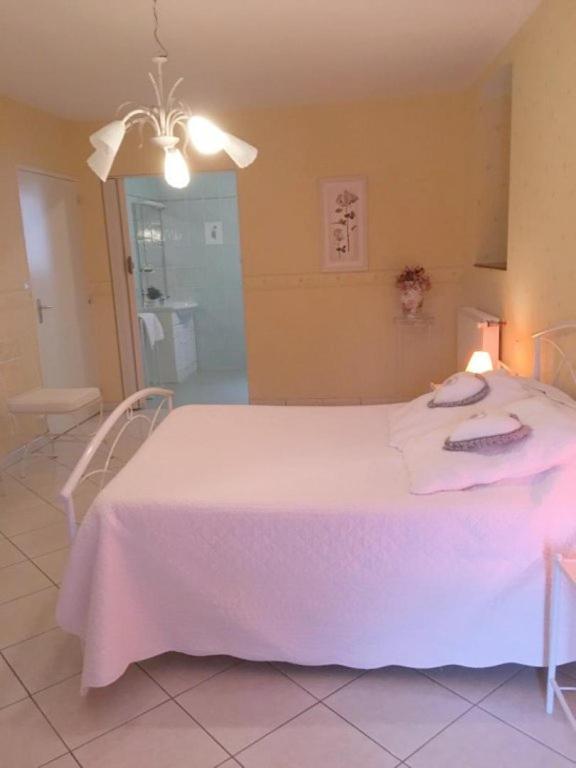 Chambres D'Hotes Du Maspourquet Saint-Santin-Aveyron Luaran gambar